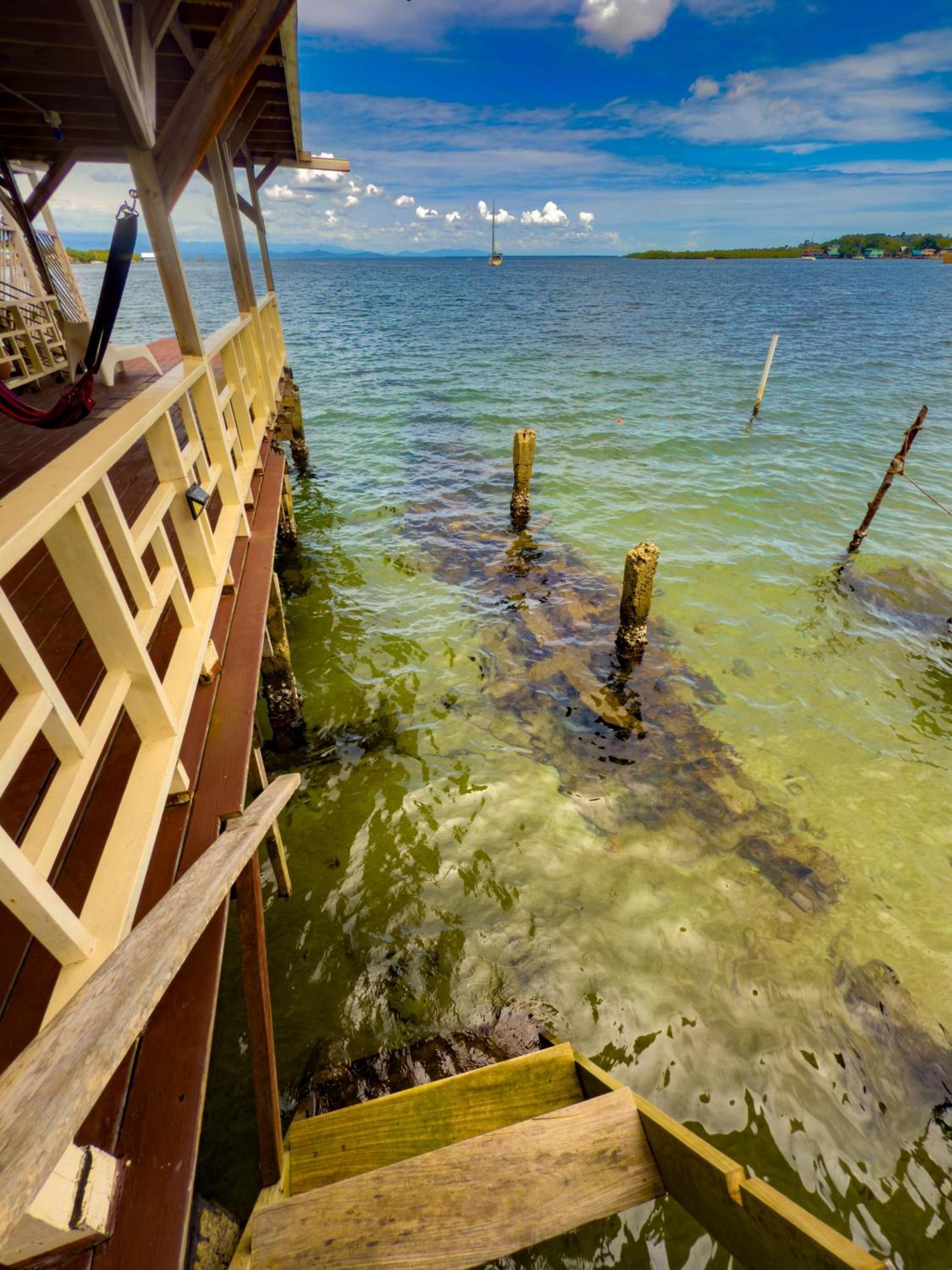 Saigon Bay Bed & Breakfast Bocas del Toro Quarto foto
